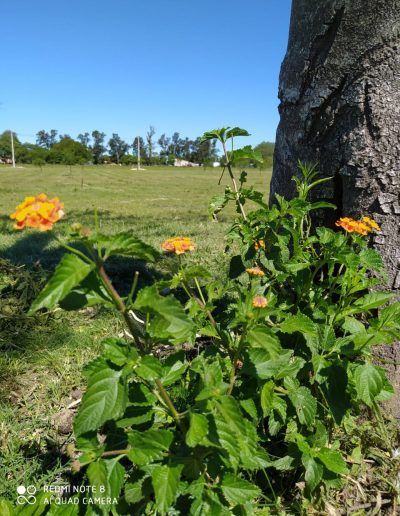 Venta de Terrenos en La Paz Entre Ríos