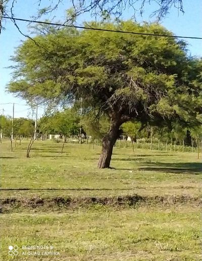 Venta de Terrenos en La Paz Entre Ríos