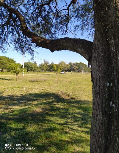 Venta de Terrenos en La Paz Entre Ríos